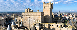 Castillo-palacio de Olite