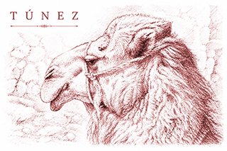 T�nez